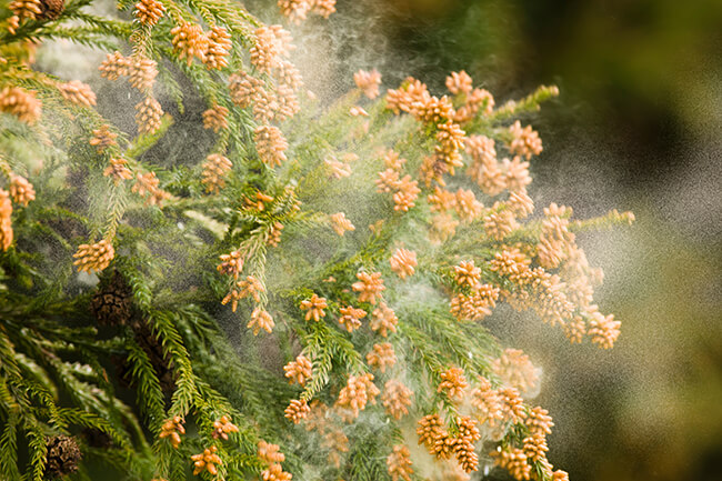 長引く咳・しつこい咳の特徴と誘因